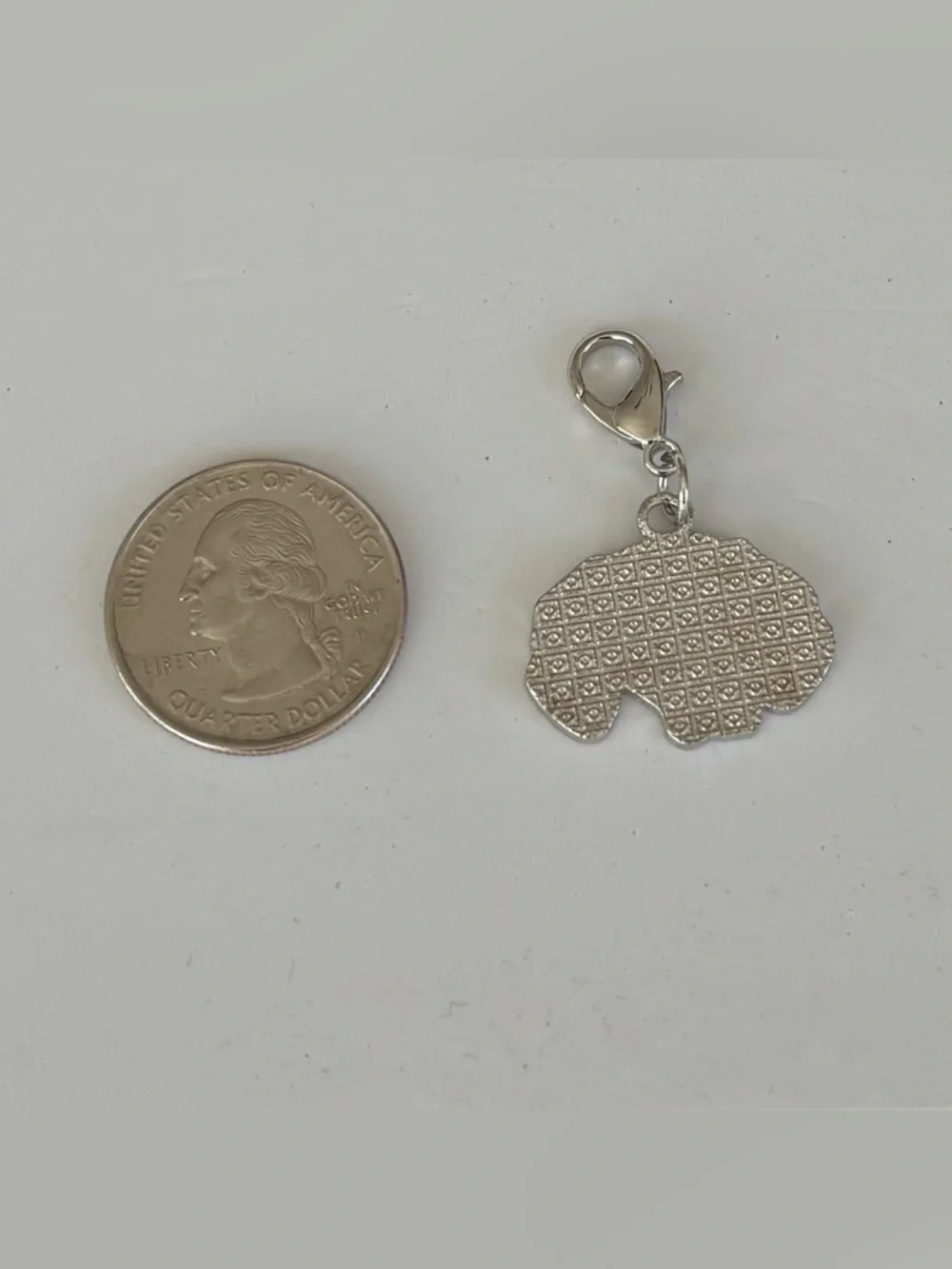 Dog Zipper Pull Collar or Bag Charm Boston Terrier or Pointer / Lab